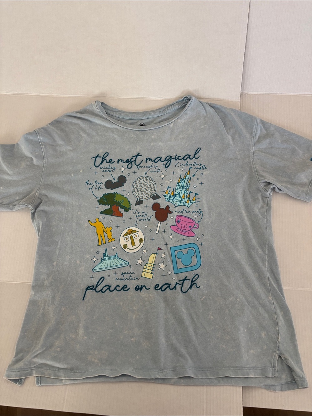 Disney Light Blue graphic Tee with Park Icons